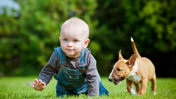 little boy and a puppy