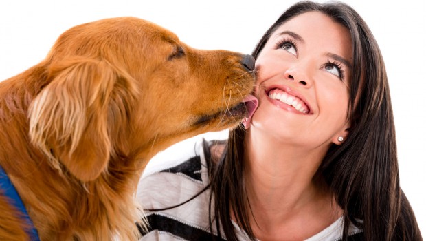 Dog kissing a woman