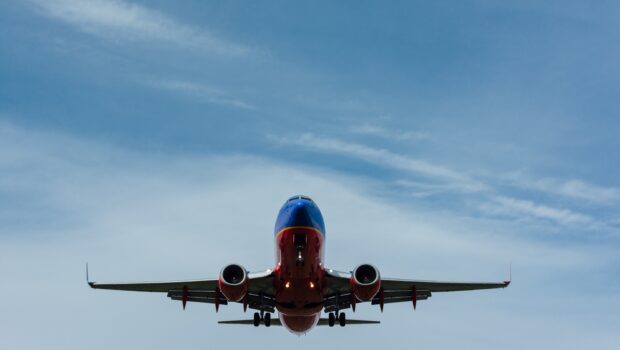 Pet travel on planes